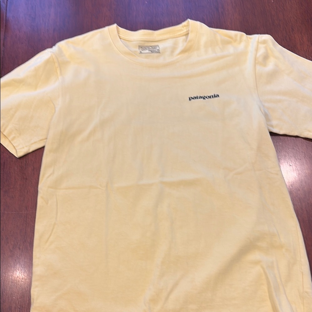 Patagonia Men's Yellow T-Shirt